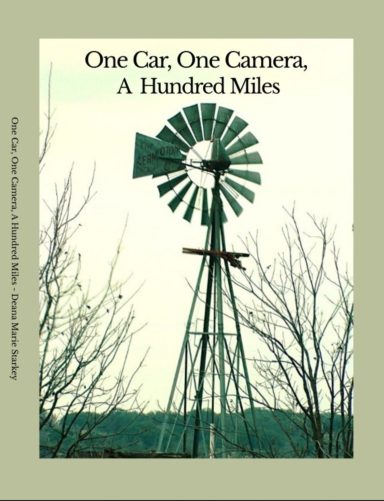 One Car, One Camera, A Hundred Miles